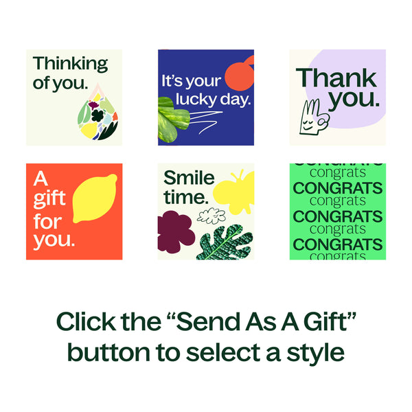 Plant Therapy Digital Gift Card