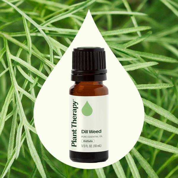 Plant Therapy Dill Weed Essential Oil