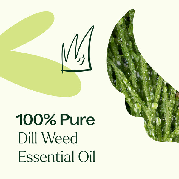 Plant Therapy Dill Weed Essential Oil
