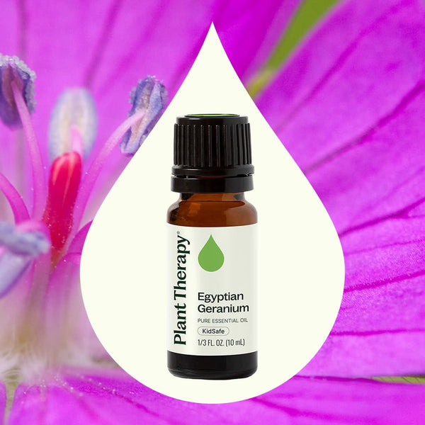 Plant Therapy Egyptian Geranium Essential Oil