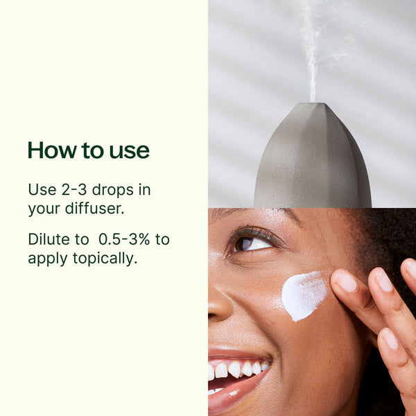 Plant Therapy Elemi Essential Oil