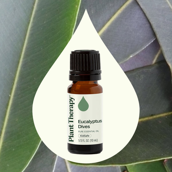 Plant Therapy Eucalyptus Dives Essential Oil