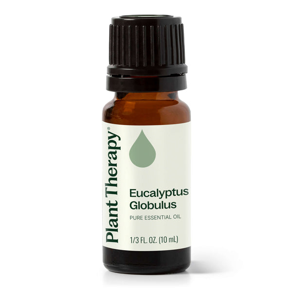 plant therapy Eucalyptus Globulus Essential Oil