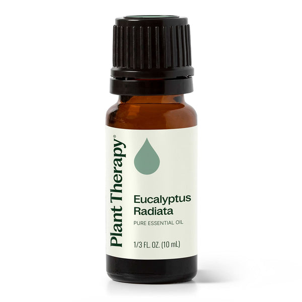 plant therapy Eucalyptus Radiata Essential Oil