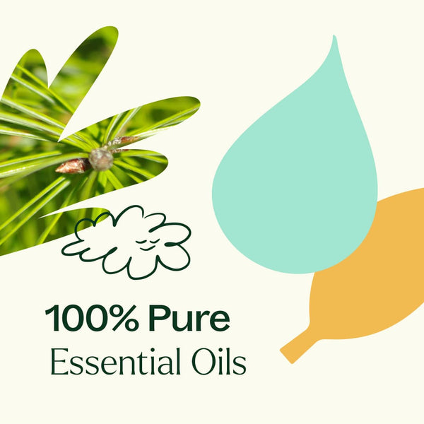 Plant Therapy Fall Rain Essential Oil Blend