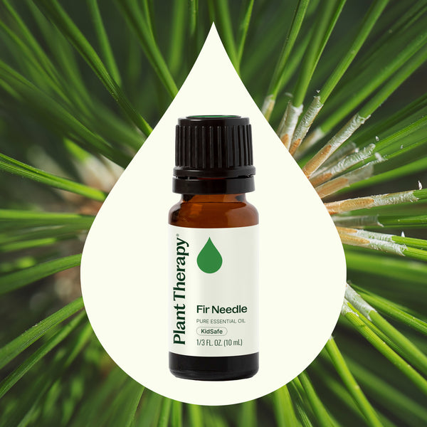 Plant Therapy Fir Needle Essential Oil