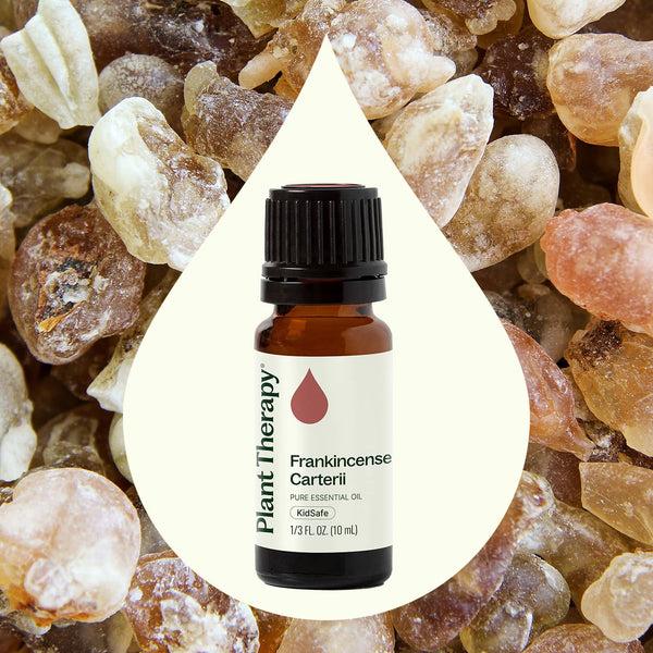 Plant Therapy Frankincense Carterii Essential Oil