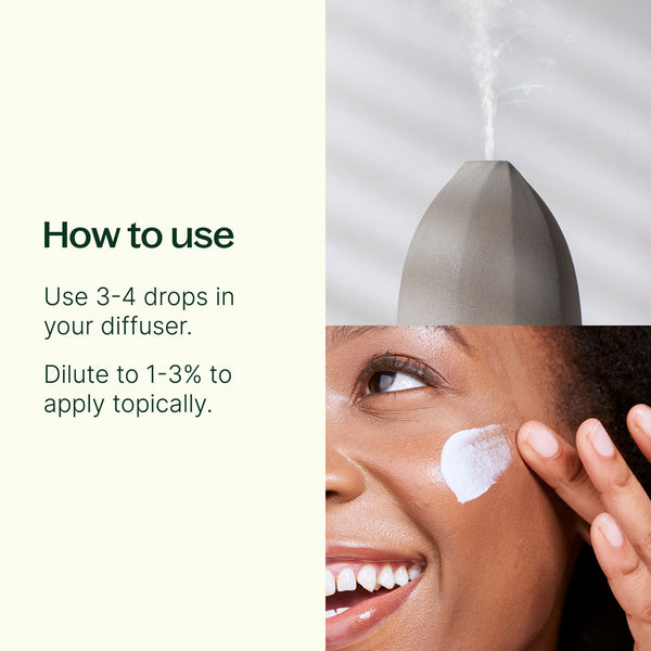 Plant Therapy Frankincense Carterii Essential Oil