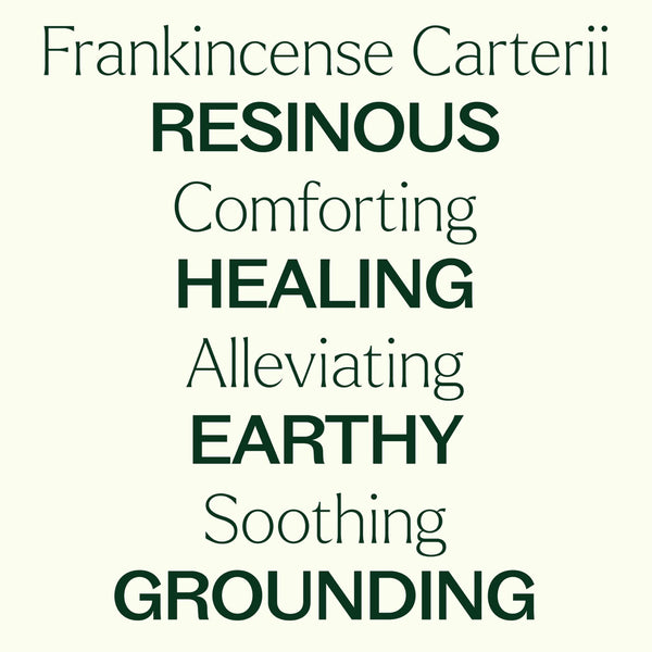 Plant Therapy Frankincense Carterii Essential Oil