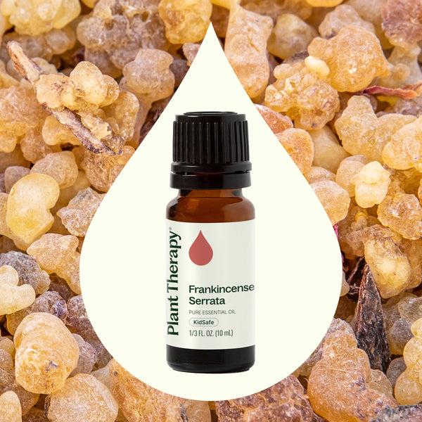 Plant Therapy Frankincense Serrata Essential Oil