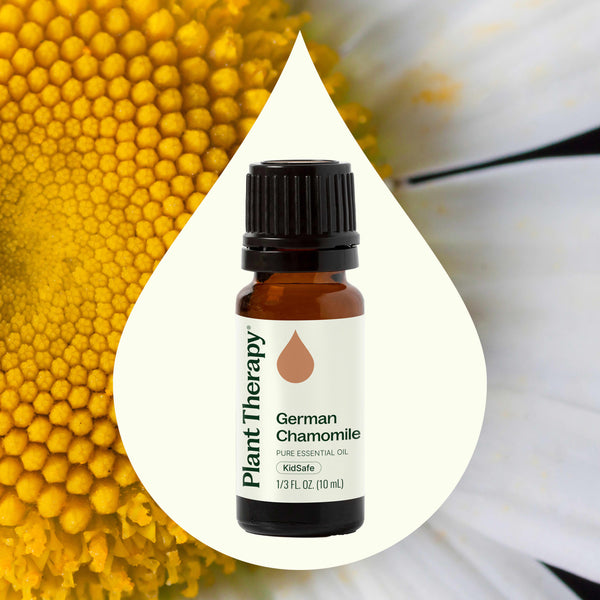 Plant Therapy German Chamomile Essential Oil