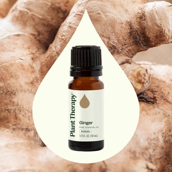 Plant Therapy Ginger Essential Oil