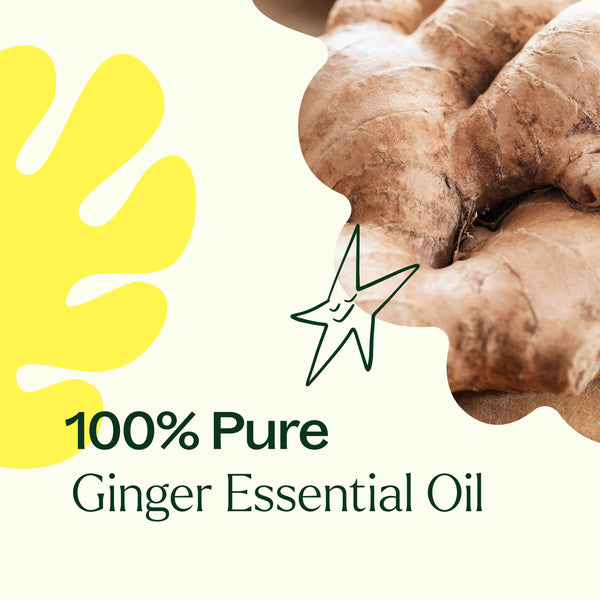 Plant Therapy Ginger Essential Oil
