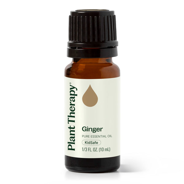 plant therapy Ginger Essential Oil