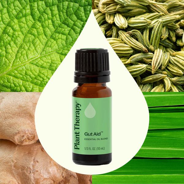 Plant Therapy Gut Aid™ Essential Oil Blend