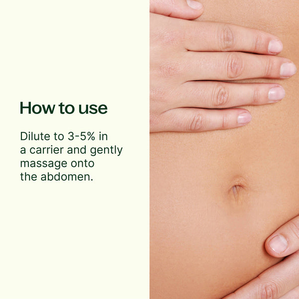 Plant Therapy Gut Aid™ Essential Oil Blend