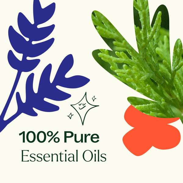 Plant Therapy Heroes Essential Oil Blend
