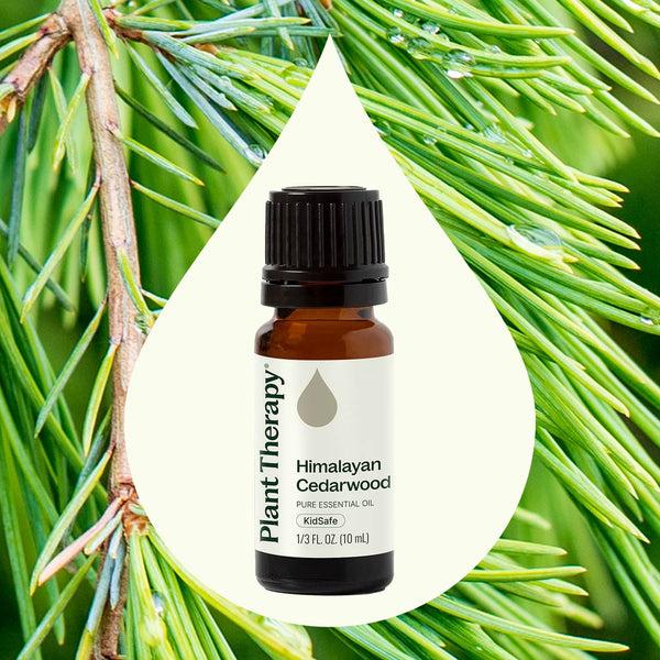 Plant Therapy Himalayan Cedarwood Essential Oil
