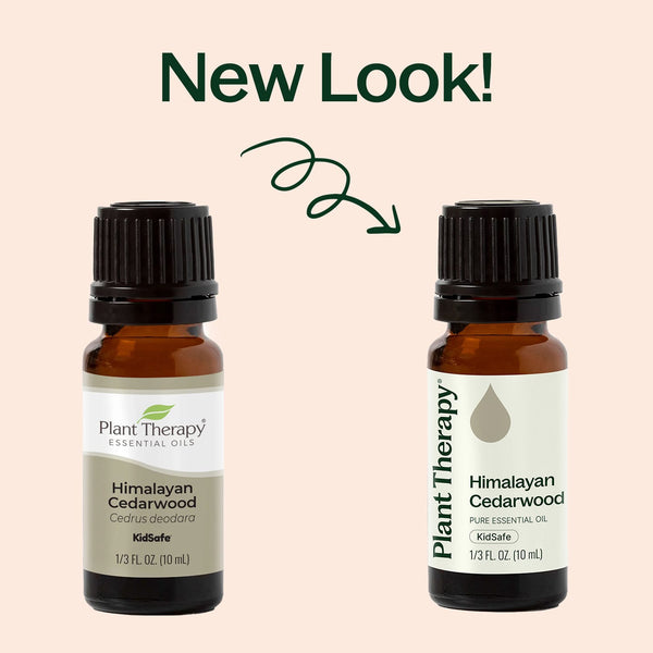Plant Therapy Himalayan Cedarwood Essential Oil