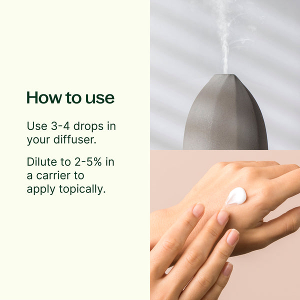 Plant Therapy Ho Wood Essential Oil