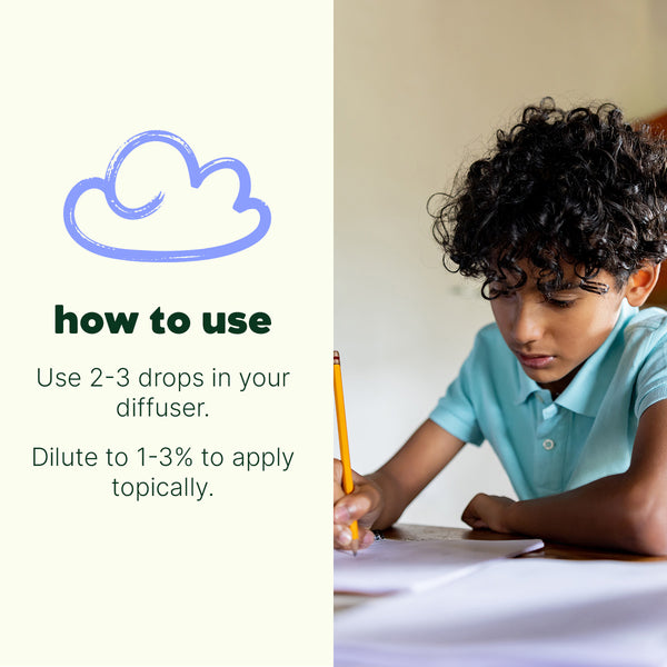 Plant Therapy Hocus Focus Essential Oil Blend