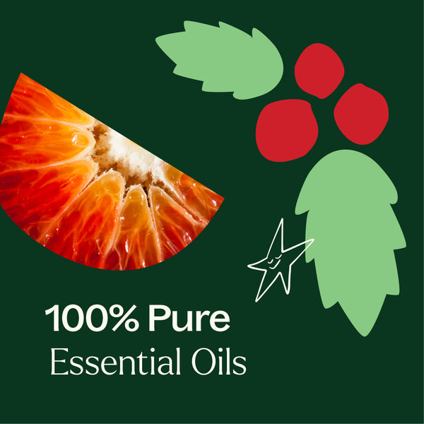 Plant Therapy Holly Berries® Essential Oil Blend