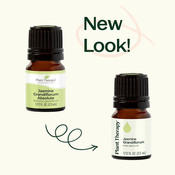 Plant Therapy Jasmine Grandiflorum Absolute