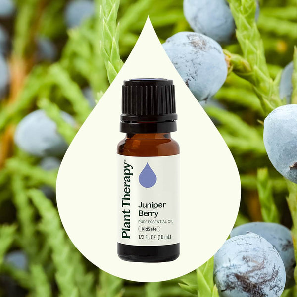 Plant Therapy Juniper Berry Essential Oil