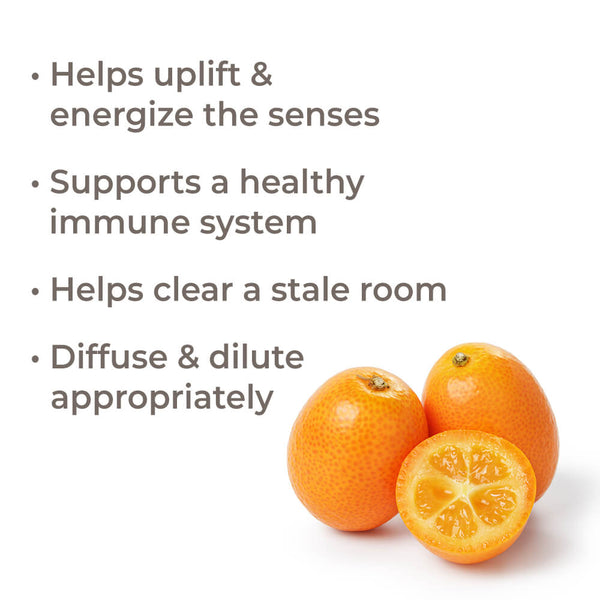 Plant Therapy Kumquat Essential Oil