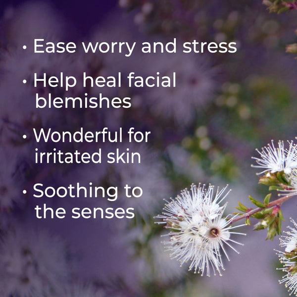 Plant Therapy Kunzea Essential Oil