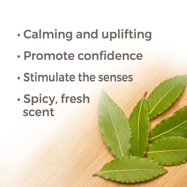 Plant Therapy Laurel Leaf Essential Oil