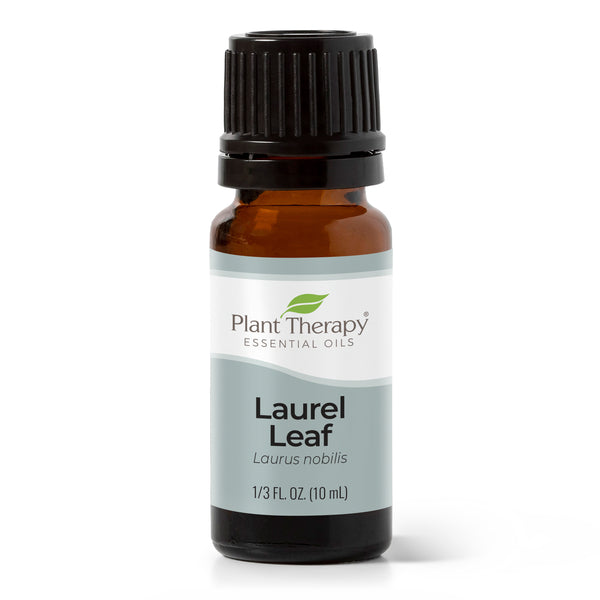 plant therapy Laurel Leaf Essential Oil