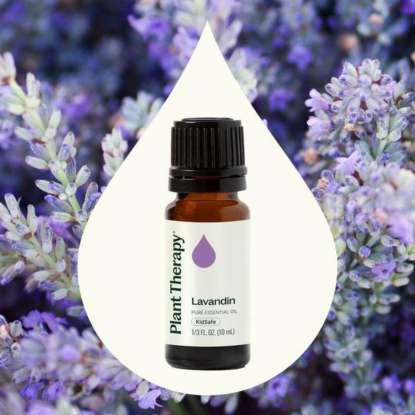 Plant Therapy Lavandin Essential Oil