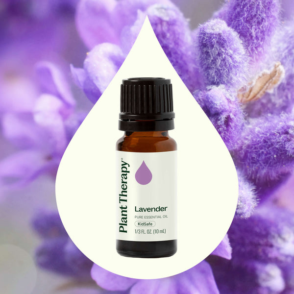 Plant Therapy Lavender Essential Oil