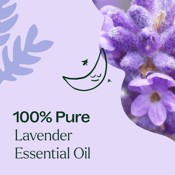 Plant Therapy Lavender Fine Essential Oil