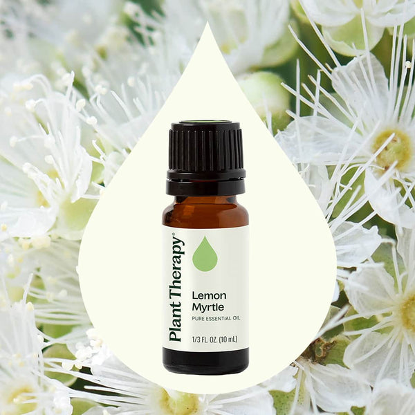 Plant Therapy Lemon Myrtle Essential Oil