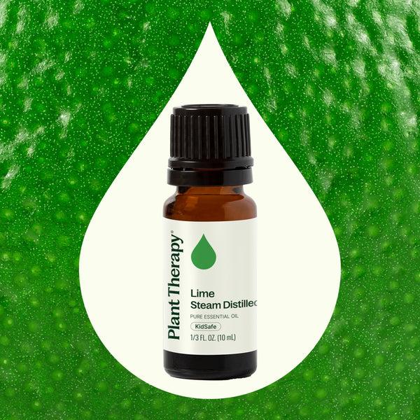 Plant Therapy Lime Steam Distilled Essential Oil