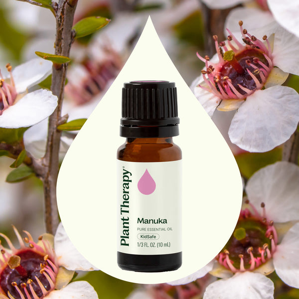 Plant Therapy Manuka Essential Oil