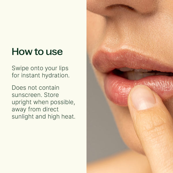 Plant Therapy Maple Bar Natural Lip Balm