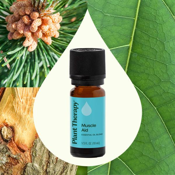 Plant Therapy Muscle Aid Essential Oil Blend
