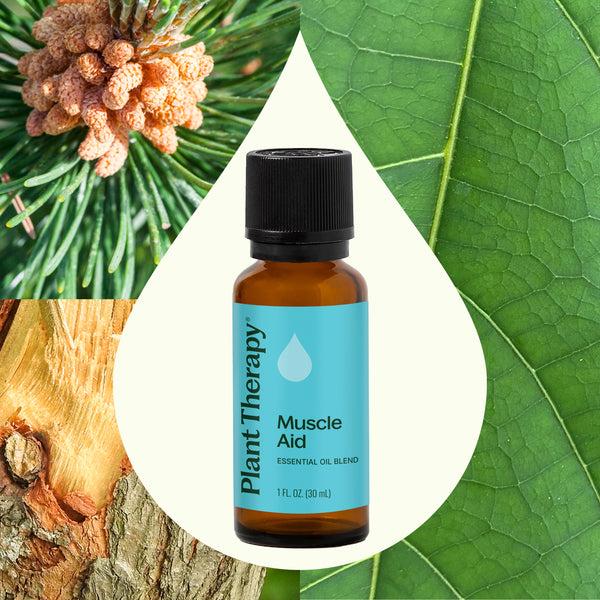 Plant Therapy Muscle Aid Essential Oil Blend