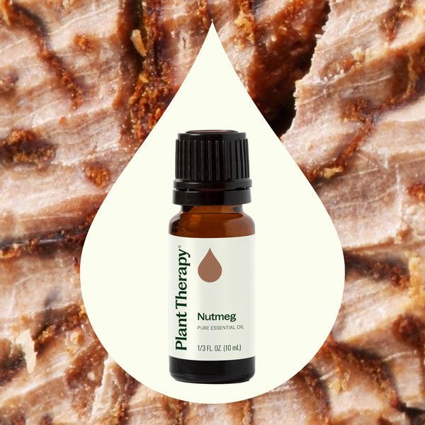 Plant Therapy Nutmeg Essential Oil