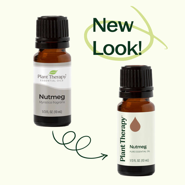 Plant Therapy Nutmeg Essential Oil