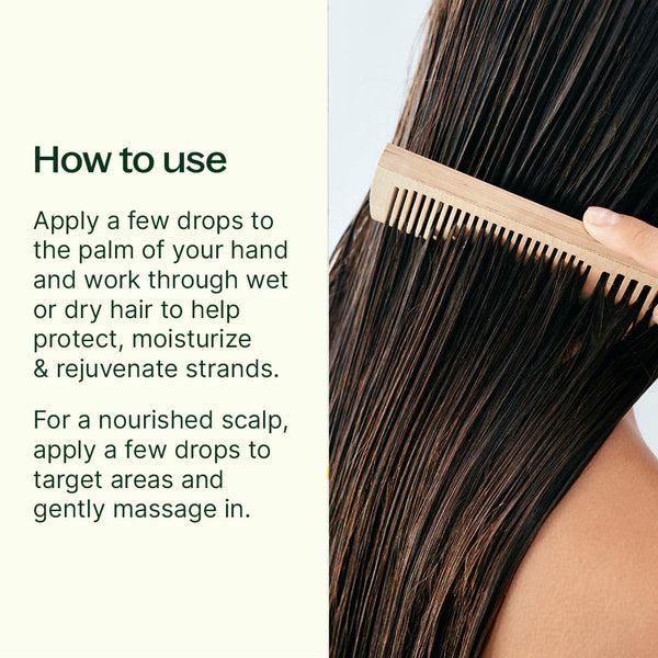 Plant Therapy Organic Argan Hair Oil