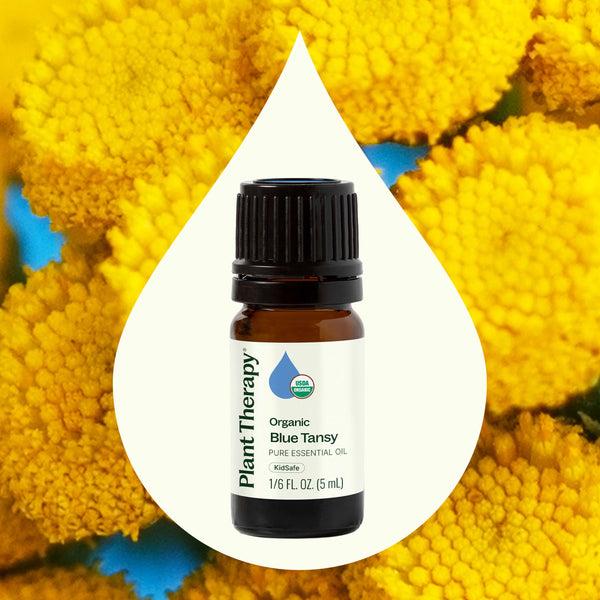 Plant Therapy Organic Blue Tansy Essential Oil