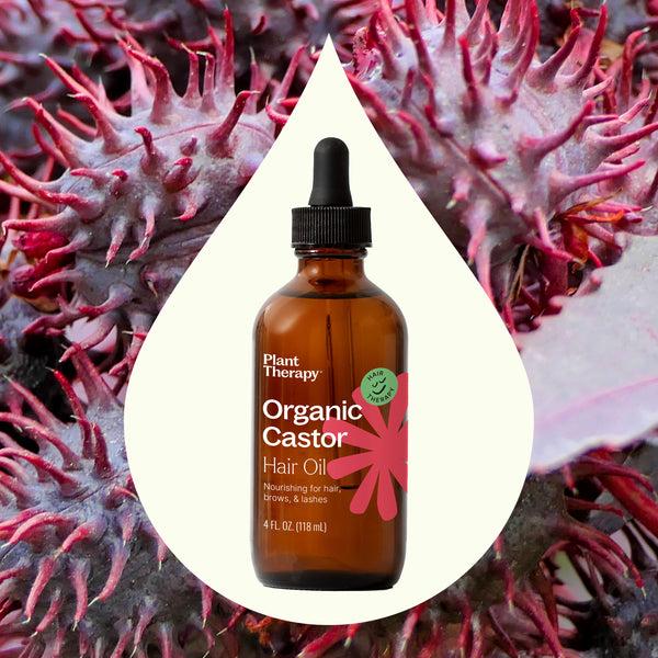Plant Therapy Organic Castor Oil