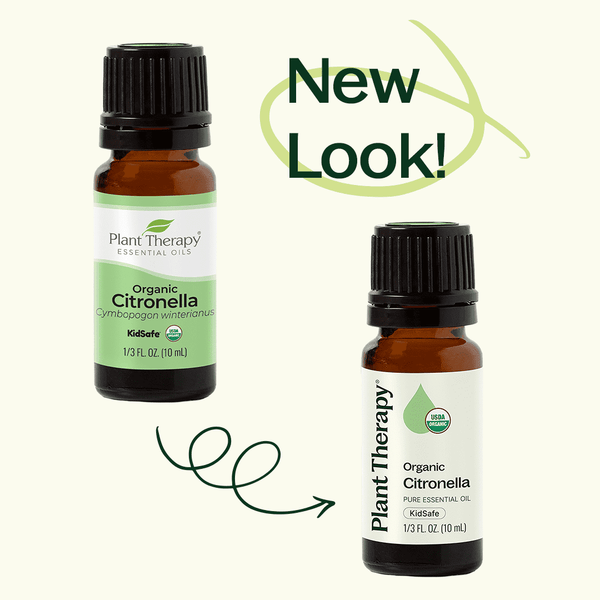 Plant Therapy Organic Citronella Essential Oil