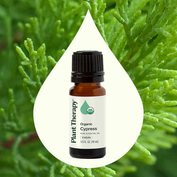 Plant Therapy Organic Cypress Essential Oil