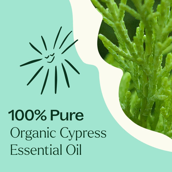 Plant Therapy Organic Cypress Essential Oil