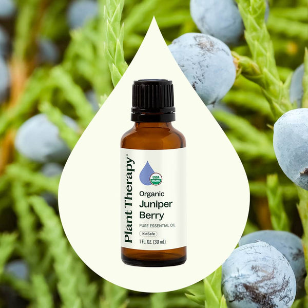 Plant Therapy Organic Juniper Berry Essential Oil